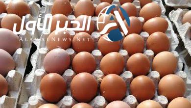 سعر البيض اليوم 