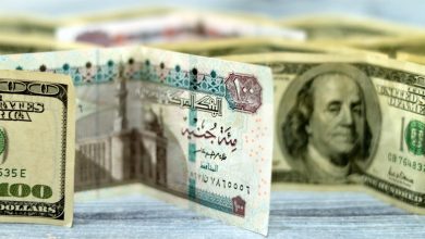 سعر الدولار مقابل الجنيه المصري اليوم 