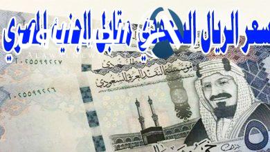 سعر الريال السعودي مقابل الجنيه المصري 