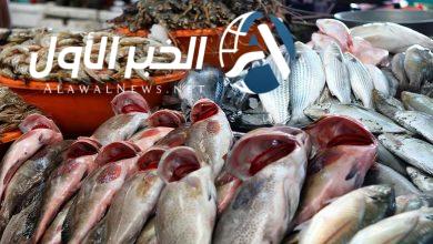 سعر السمك