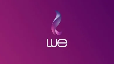 كيفية الاستعلام عن فاتورة الهاتف الأرضي عبر موقع المصرية للاتصالات WE