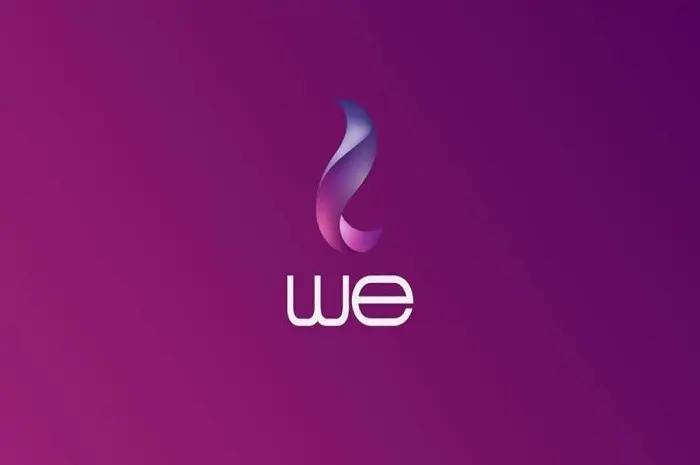 كيفية الاستعلام عن فاتورة الهاتف الأرضي عبر موقع المصرية للاتصالات WE