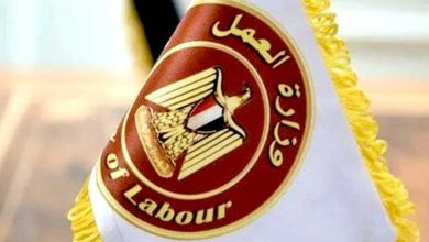 كيفية الاستعلام عن منحة العمالة غير المنتظمة 2025 والفئات المستحقة للدعم