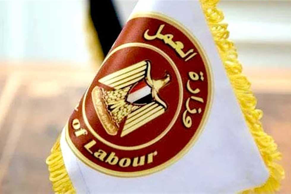كيفية الاستعلام عن منحة العمالة غير المنتظمة 2025 والفئات المستحقة للدعم