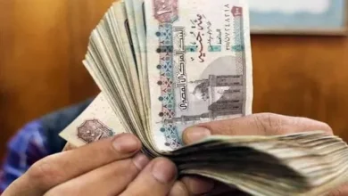 موعد صرف مكافأة المعلمين مايو 2025