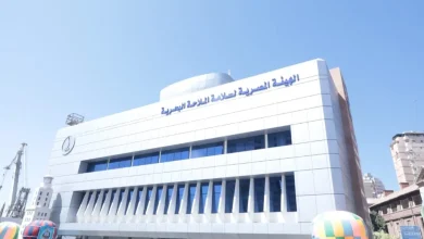 وظائف قيادية في الهيئة المصرية لسلامة الملاحة البحرية.. الشروط