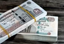 جدول صرف معاشات التقاعد 2025 حسب الرقم القومي بعد الزيادة الجديدة في مصر