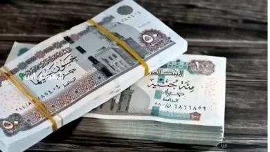 جدول صرف معاشات التقاعد 2025 حسب الرقم القومي بعد الزيادة الجديدة في مصر