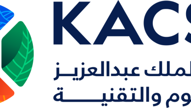كاسكت22