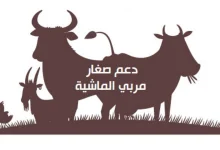 تعرف على خطوات تحديث بيانات مربي المواشي