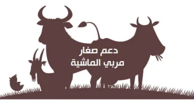 تعرف على خطوات تحديث بيانات مربي المواشي