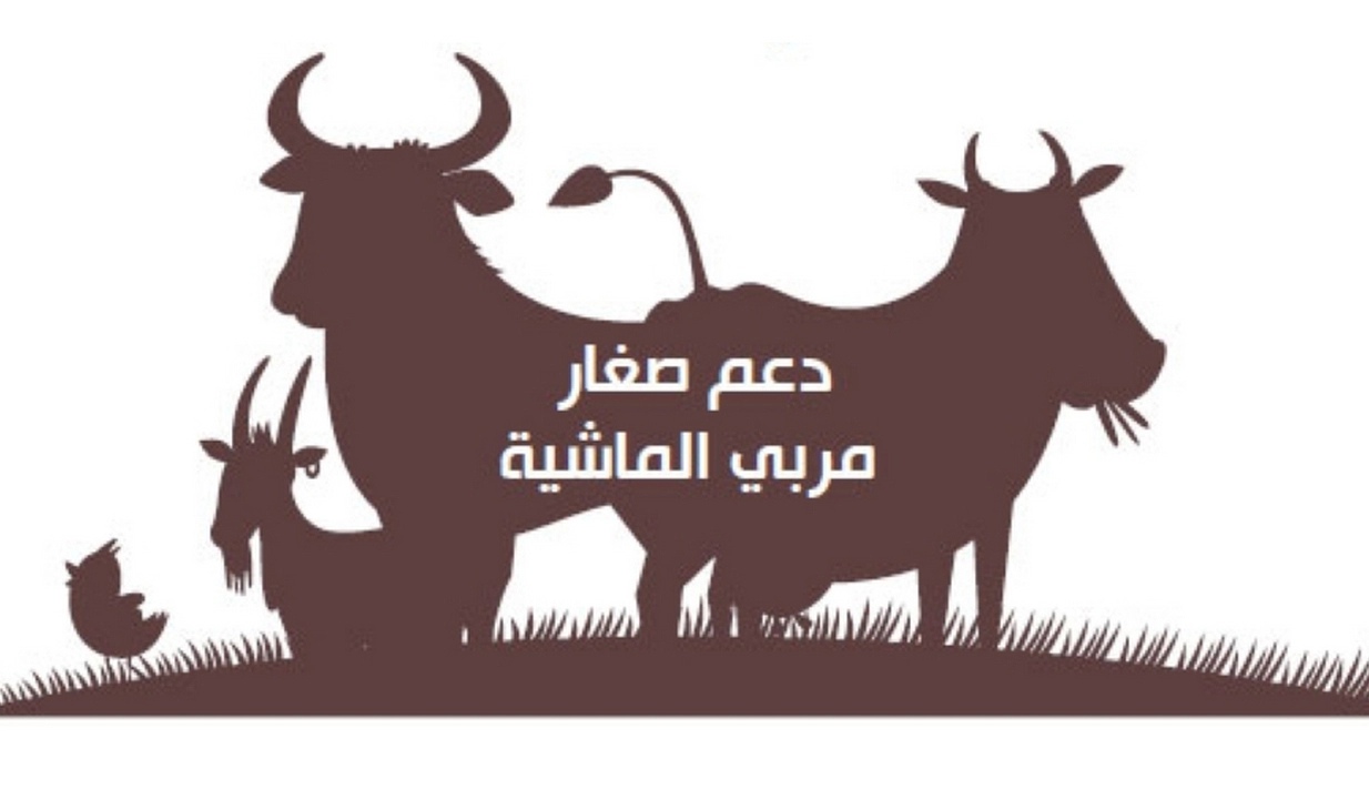 تعرف على خطوات تحديث بيانات مربي المواشي