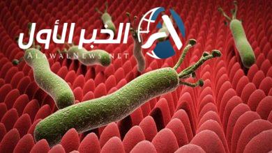 جرثومة المعدة