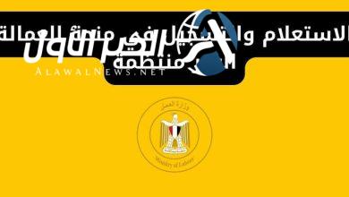 طريقة الاستعلام عن منحة العمالة غير المنتظمة برقمك القومي عبر manpower.gov.eg