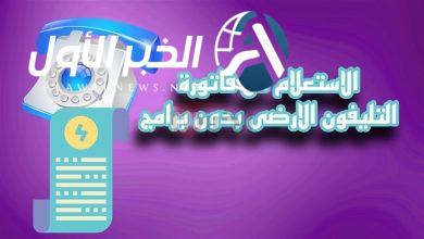 فاتورة الهاتف الأرضي في مصر