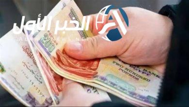 لينك الاستعلام عن منحة العمالة الغير منتظمة وقيمة المنحة بعد آخر القرارات