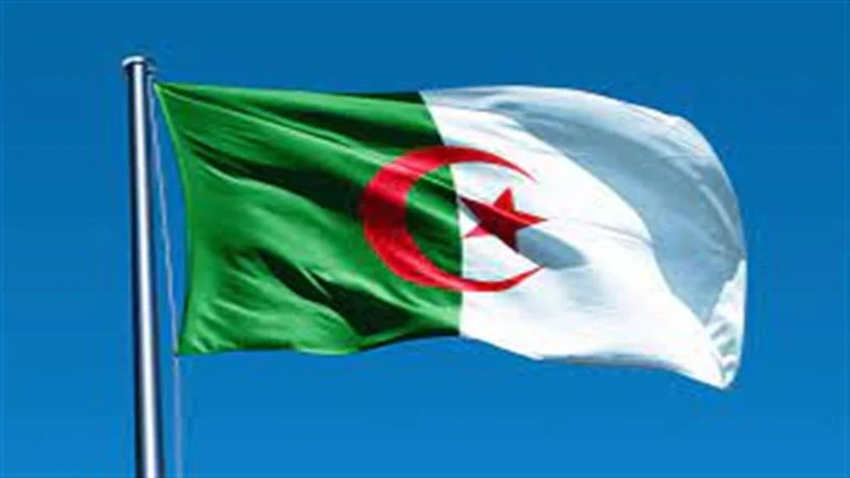 منحة البطالة في الجزائر 2025.. طريقة التجديد والشروط الجديدة بخطوات سريعة