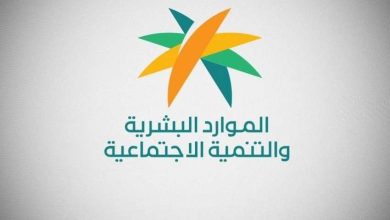 وزارة الموارد البشرية توضح بيانات الدخل والممتلكات المطلوبة